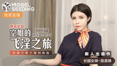 麻豆传媒映画MSD-037・陈美琳・空姐的飞淫之旅・负债空姐下海初体验