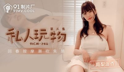 國產AV 91制片廠 91CM246 私人玩物3 高梨遙香
