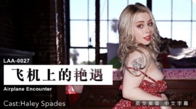 國產麻豆AV 麻豆US LAA0027 飛機上的豔遇